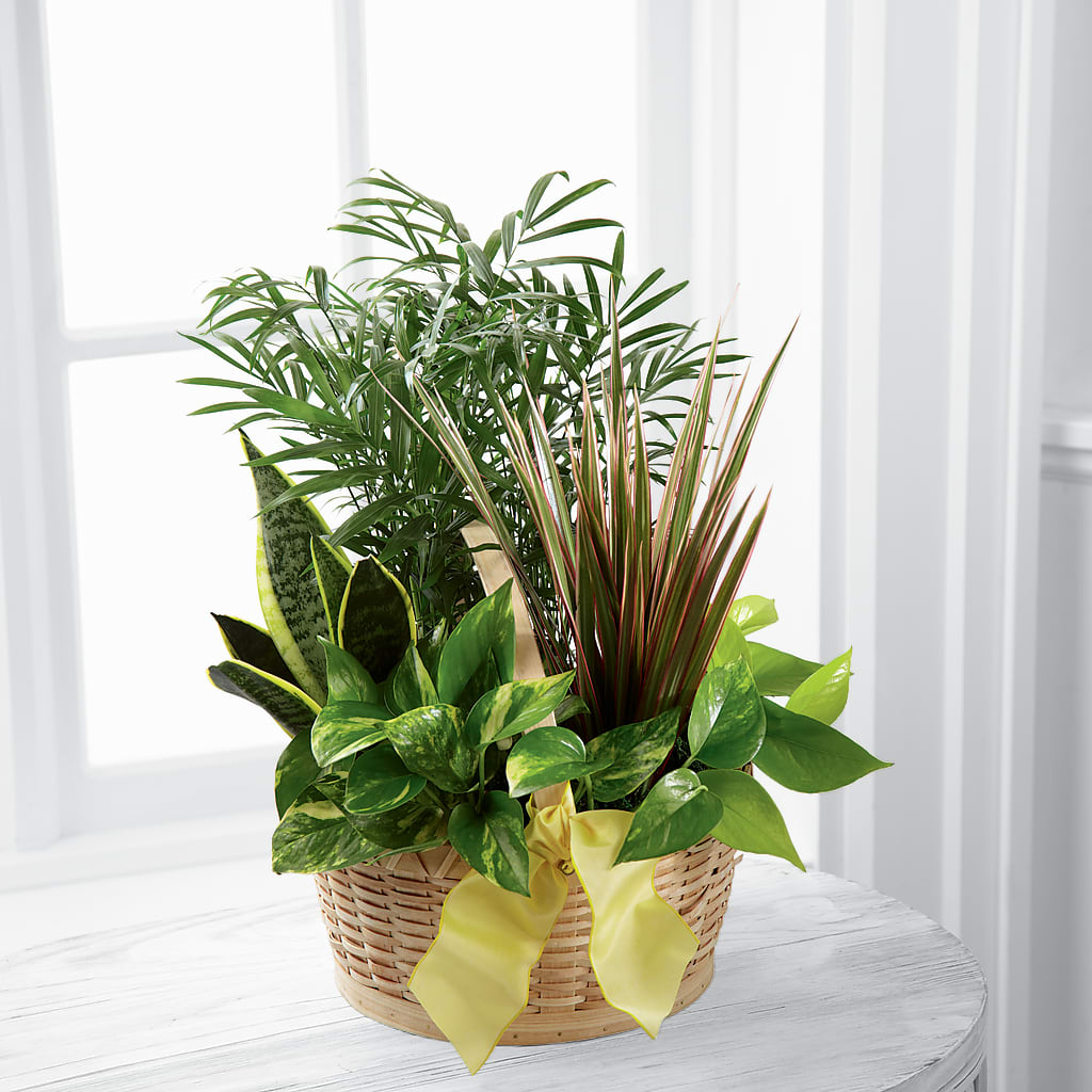 French Garden – SADIE'S FLOWER SHOP, Rayne LA