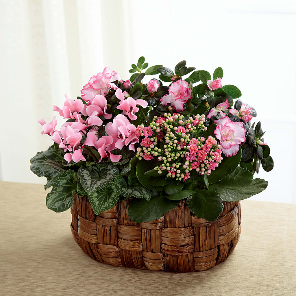 Pink Assortment – SADIE'S FLOWER SHOP, Rayne LA
