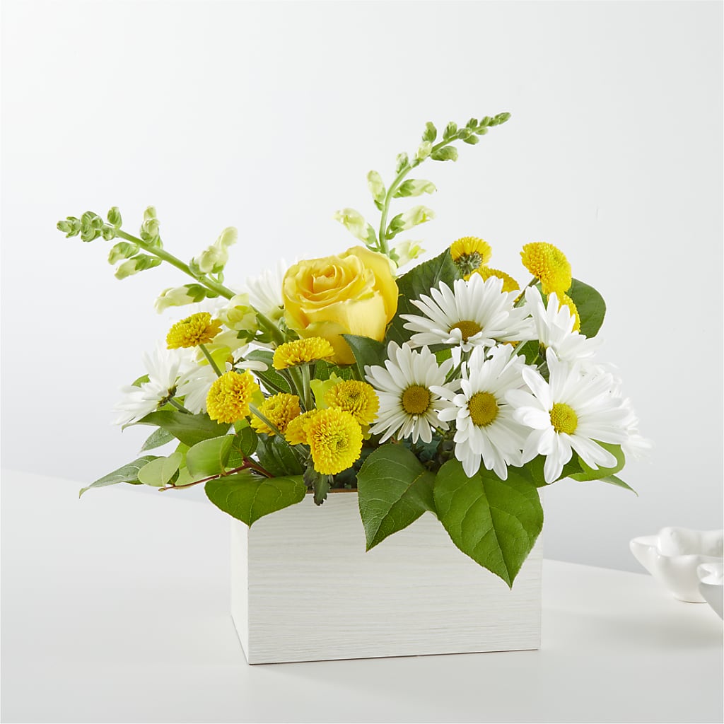 Sun Salutation Box Bouquet – SADIE'S FLOWER SHOP, Rayne LA