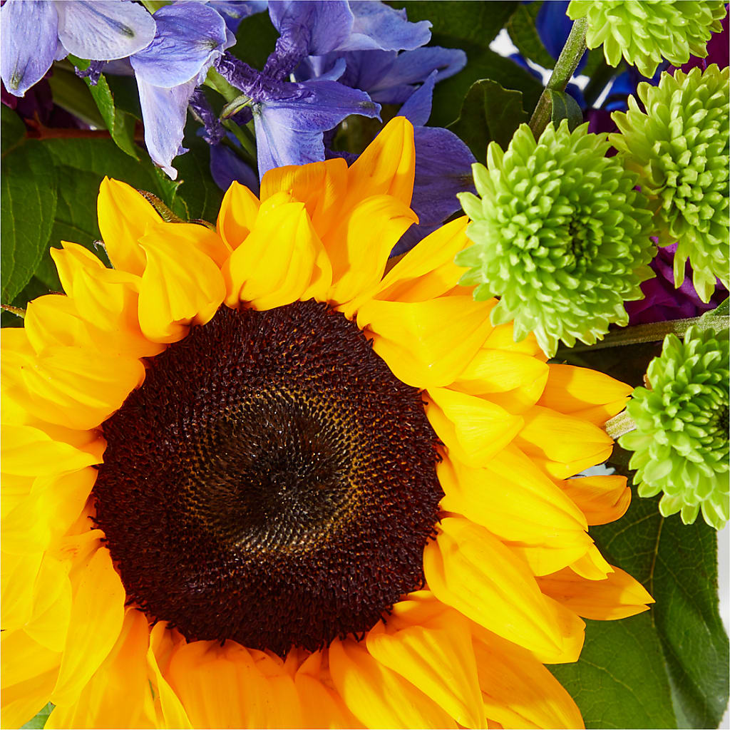 Catching Rays Bouquet – SADIE'S FLOWER SHOP, Rayne LA