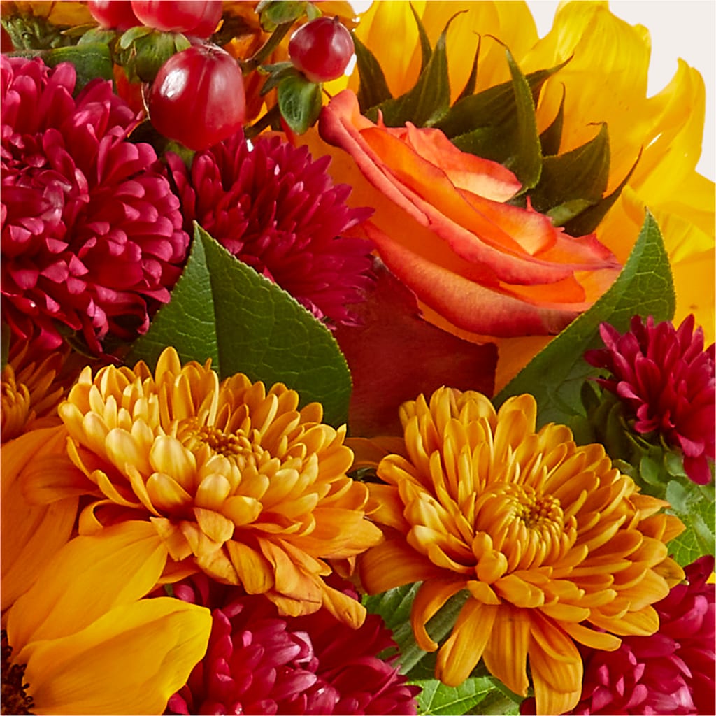 Sweater Season - A Florist Original – SADIE'S FLOWER SHOP, Rayne LA