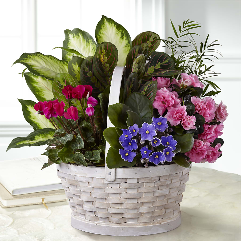 Peaceful Garden Planter – SADIE'S FLOWER SHOP, Rayne LA