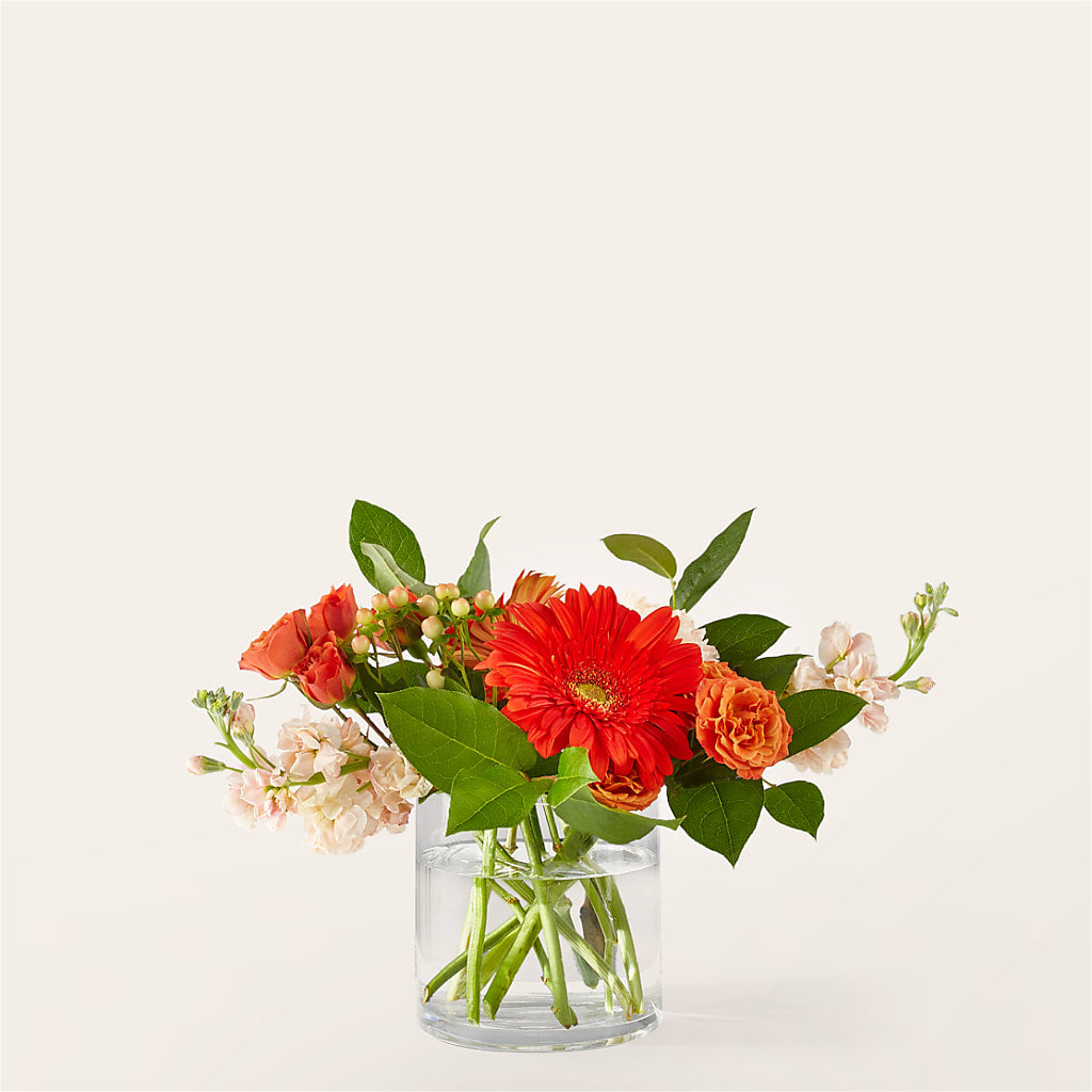 Paloma Please Bouquet – SADIE'S FLOWER SHOP, Rayne LA