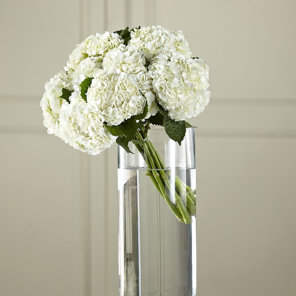 White Hydrangea Hand-Tied Bouquet – SADIE'S FLOWER SHOP, Rayne LA