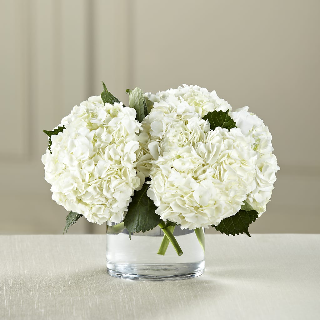 White Hydrangea Bouquet – SADIE'S FLOWER SHOP, Rayne LA