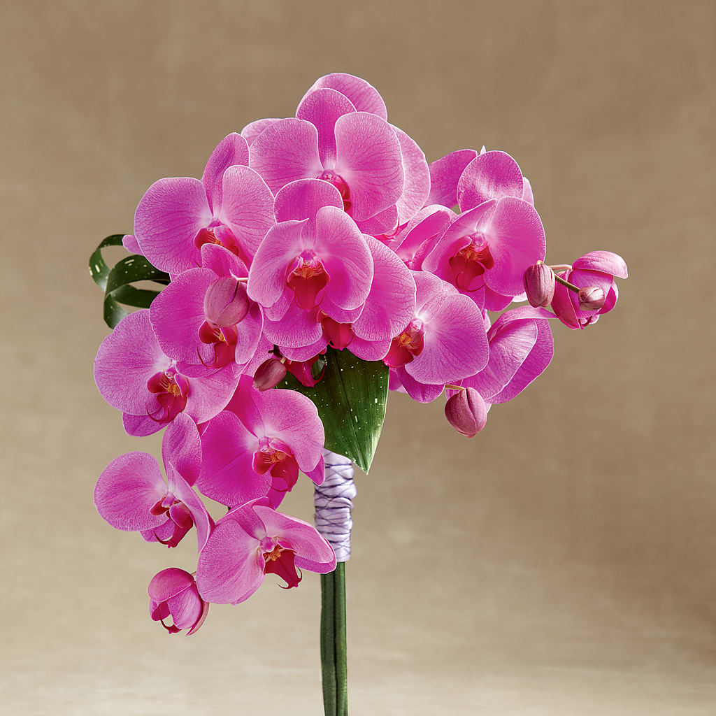 Glorious Bouquet – SADIE'S FLOWER SHOP, Rayne LA