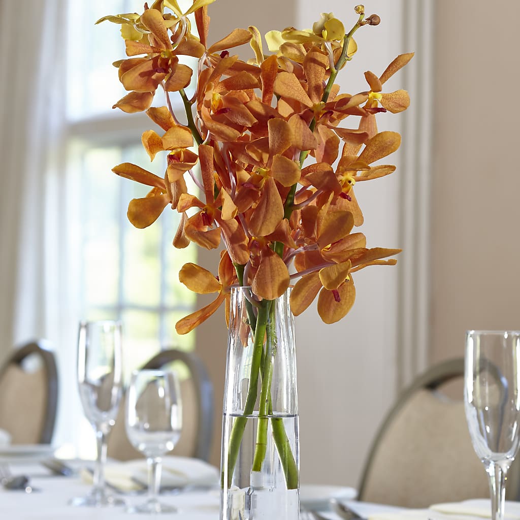 Orange Mokara Bud Vase – SADIE'S FLOWER SHOP, Rayne LA