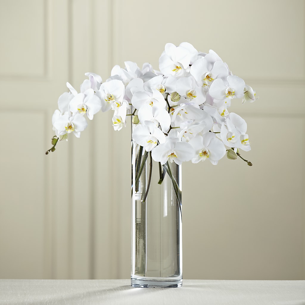 White Phalaenopsis Bouquet – SADIE'S FLOWER SHOP, Rayne LA