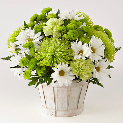 Lucky Charm Basket (Standard) – SADIE'S FLOWER SHOP, Rayne LA
