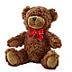Adorable Plush Bear – SADIE'S FLOWER SHOP, Rayne LA