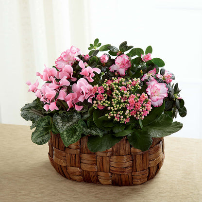 Pink Assortment – SADIE'S FLOWER SHOP, Rayne LA