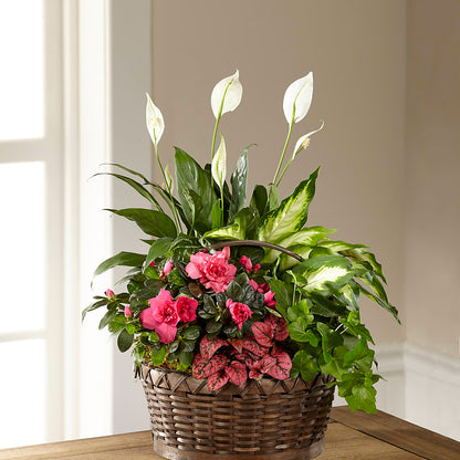 Dream in Pink Dishgarden – SADIE'S FLOWER SHOP, Rayne LA