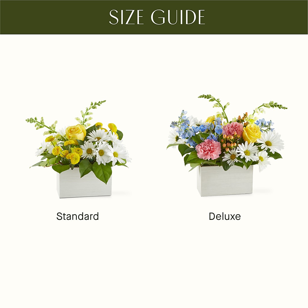 Sun Salutation Box Bouquet – SADIE'S FLOWER SHOP, Rayne LA