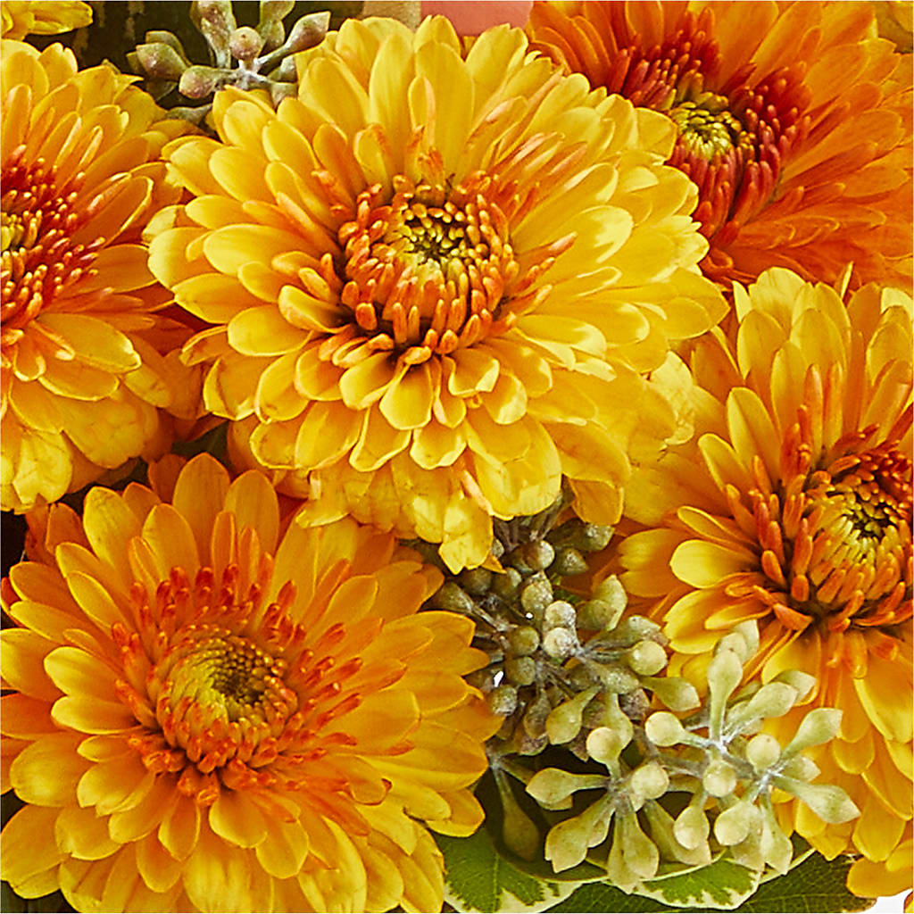 Peachy Pumpkin – SADIE'S FLOWER SHOP, Rayne LA