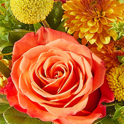 Gourdgeous Pumpkin – SADIE'S FLOWER SHOP, Rayne LA