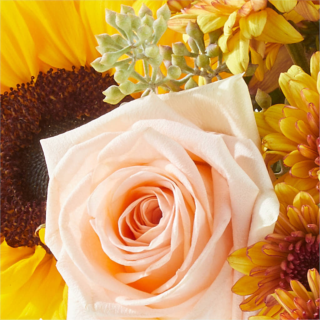 Pumpkin to Talk About Bouquet – SADIE'S FLOWER SHOP, Rayne LA