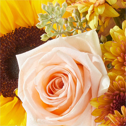 Pumpkin to Talk About Bouquet – SADIE'S FLOWER SHOP, Rayne LA