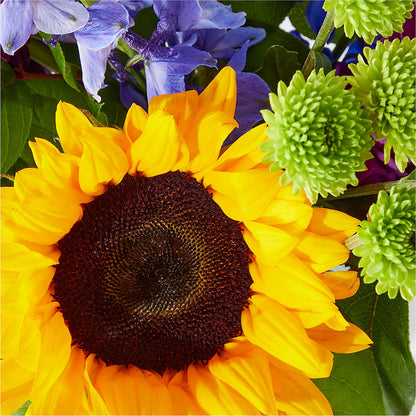 Catching Rays Bouquet – SADIE'S FLOWER SHOP, Rayne LA