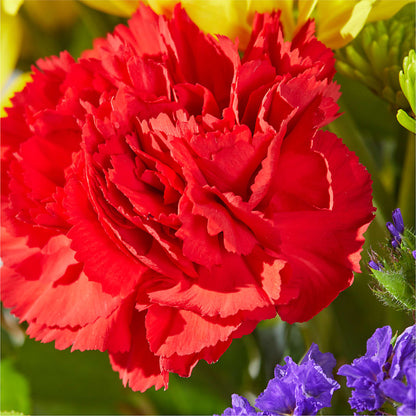 Brighter Days Bouquet – SADIE'S FLOWER SHOP, Rayne LA
