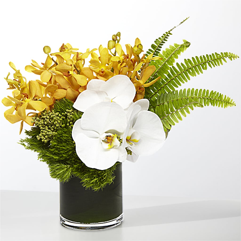 The Tropics – SADIE'S FLOWER SHOP, Rayne LA