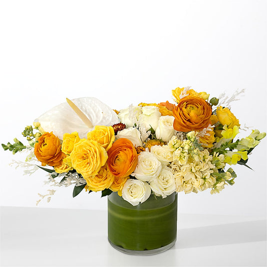 The Optimist – SADIE'S FLOWER SHOP, Rayne LA