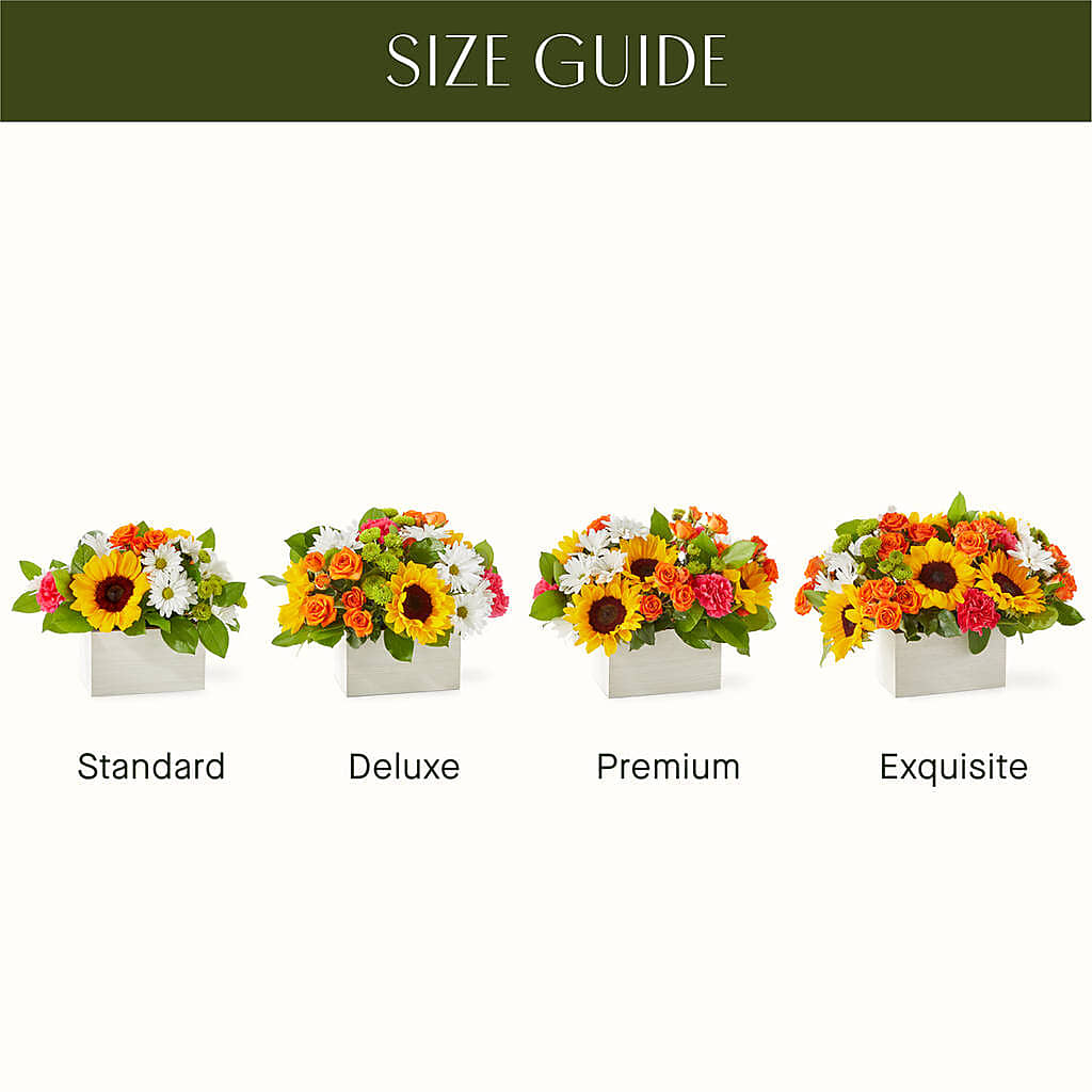 Sun-drenched Blooms Box Bouquet – SADIE'S FLOWER SHOP, Rayne LA