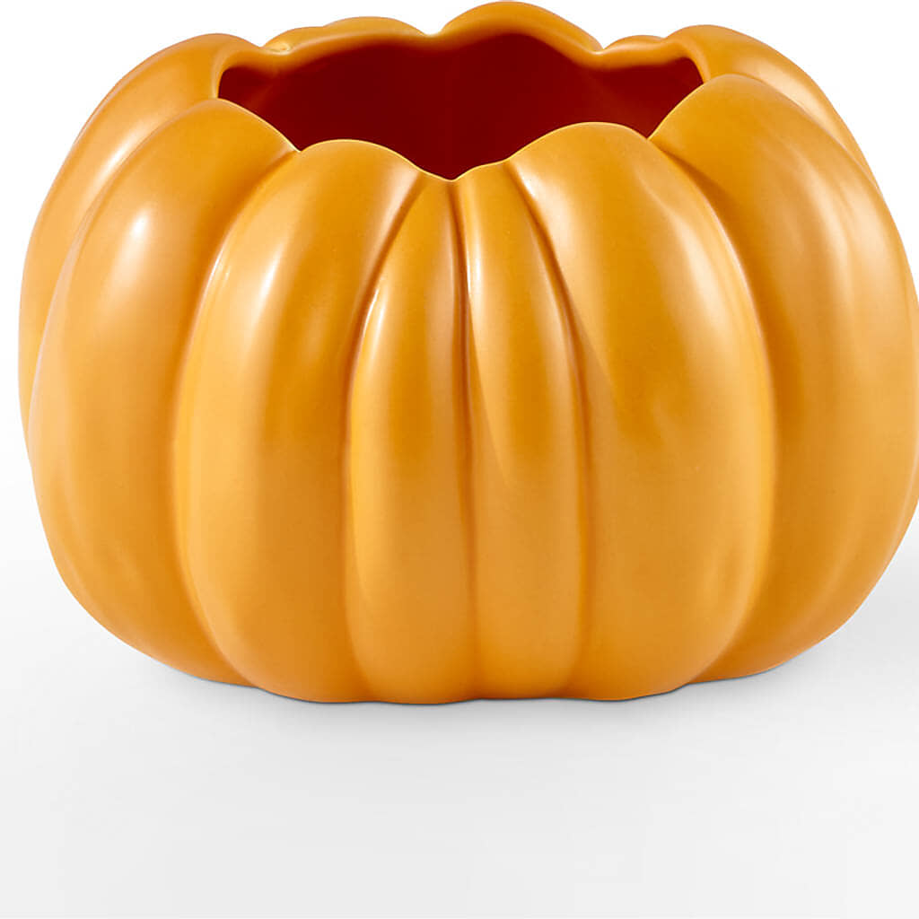Pick of the Patch Pumpkin Bouquet – SADIE'S FLOWER SHOP, Rayne LA