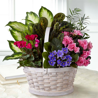 Peaceful Garden Planter – SADIE'S FLOWER SHOP, Rayne LA