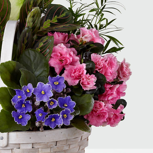 Peaceful Garden Planter – SADIE'S FLOWER SHOP, Rayne LA