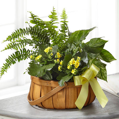 Always Dear Dishgarden – SADIE'S FLOWER SHOP, Rayne LA