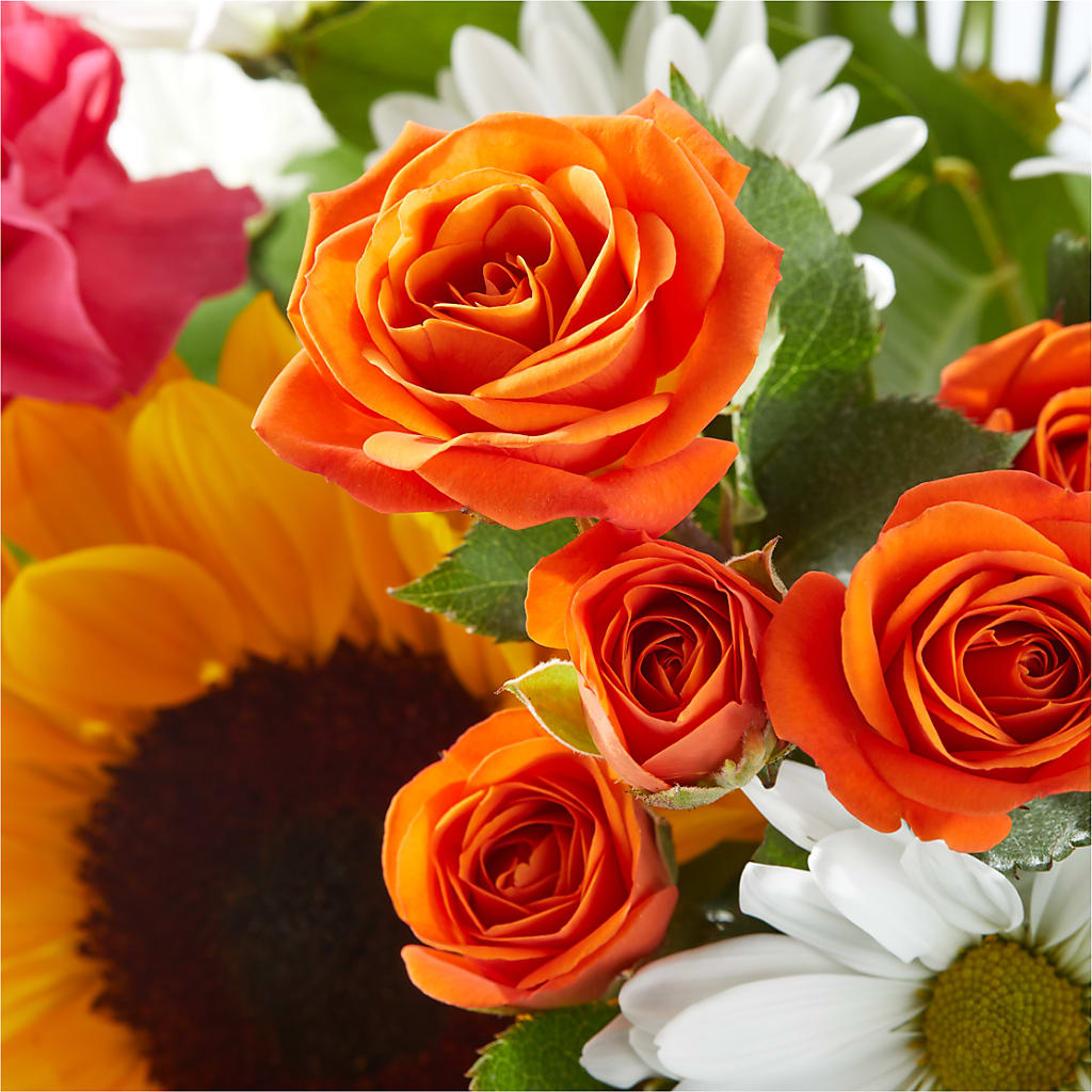 Sun-drenched Blooms Bouquet – SADIE'S FLOWER SHOP, Rayne LA