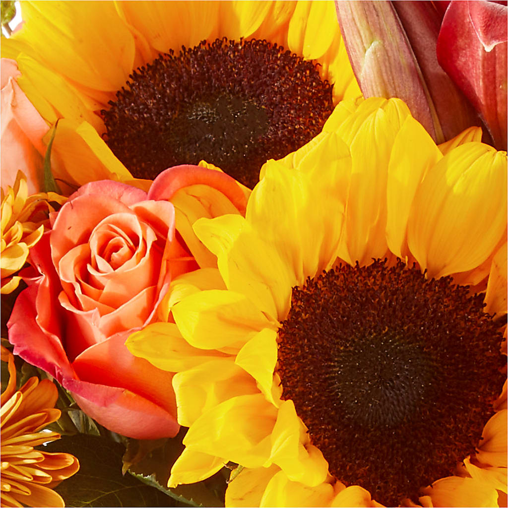 Acorn Lane Bouquet – SADIE'S FLOWER SHOP, Rayne LA