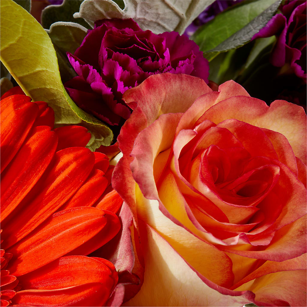 Sangria Bouquet – SADIE'S FLOWER SHOP, Rayne LA