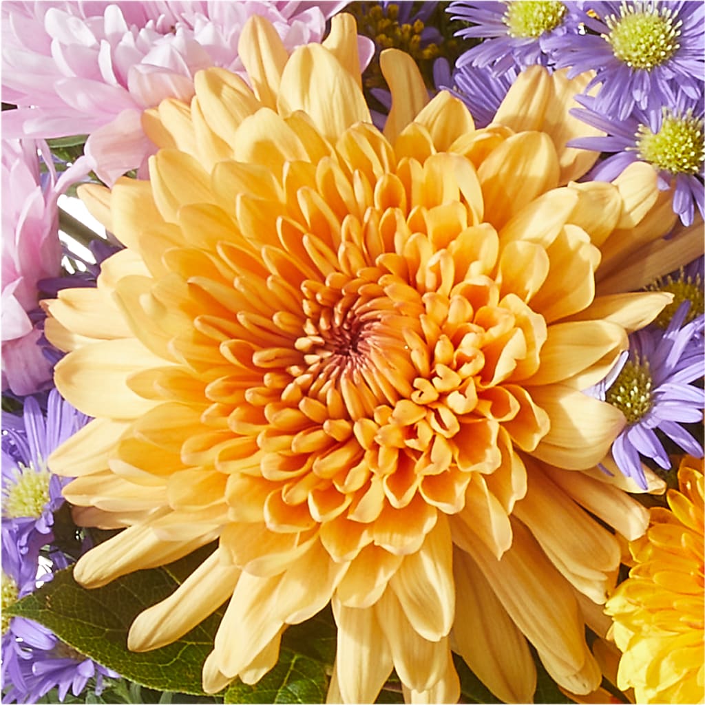 Countryside Bouquet – SADIE'S FLOWER SHOP, Rayne LA