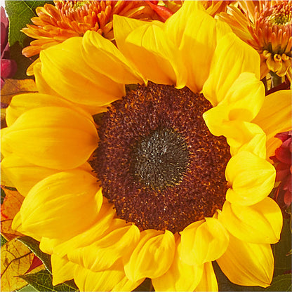 Sunny Side Bouquet – SADIE'S FLOWER SHOP, Rayne LA