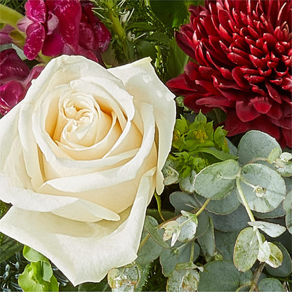 Cranberry Fizz Bouquet – SADIE'S FLOWER SHOP, Rayne LA