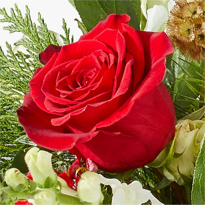 Deck the Halls Bouquet – SADIE'S FLOWER SHOP, Rayne LA