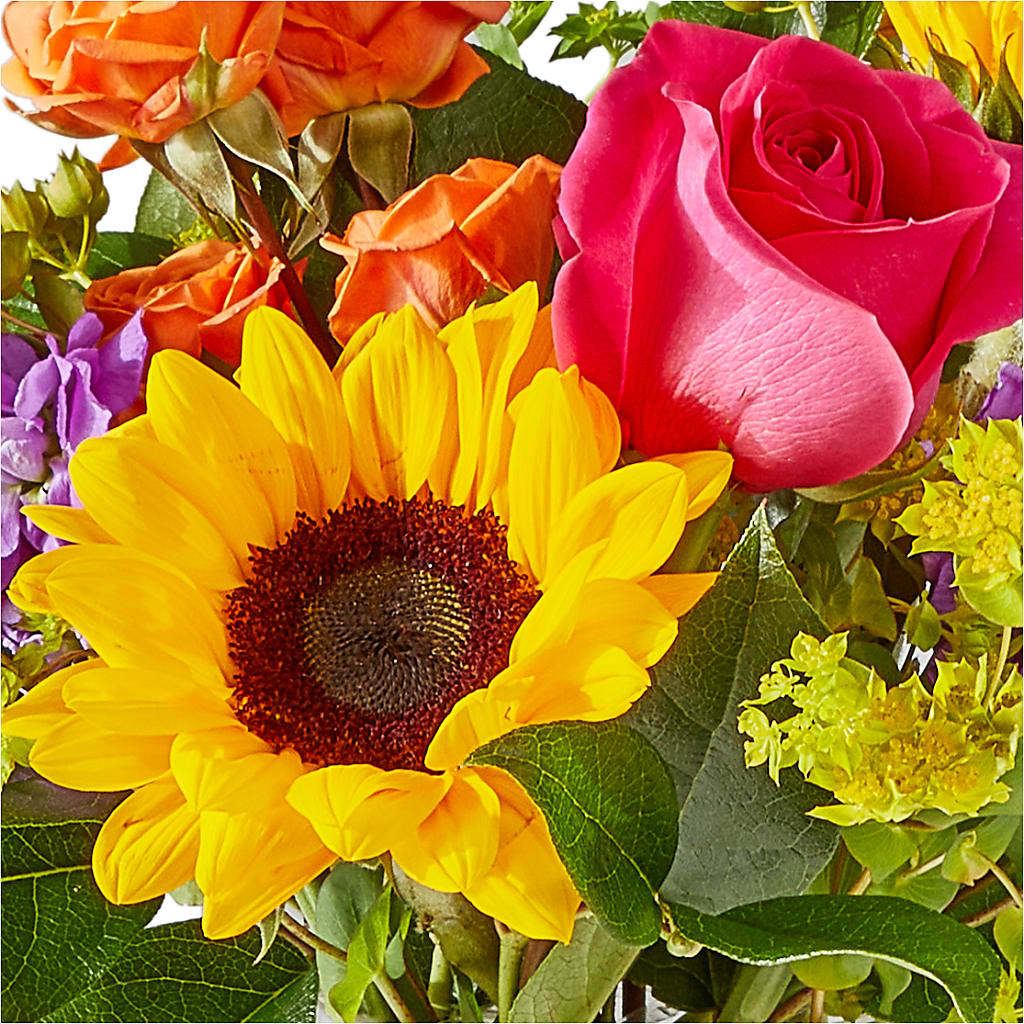 Vibrant Greetings Bouquet – SADIE'S FLOWER SHOP, Rayne LA