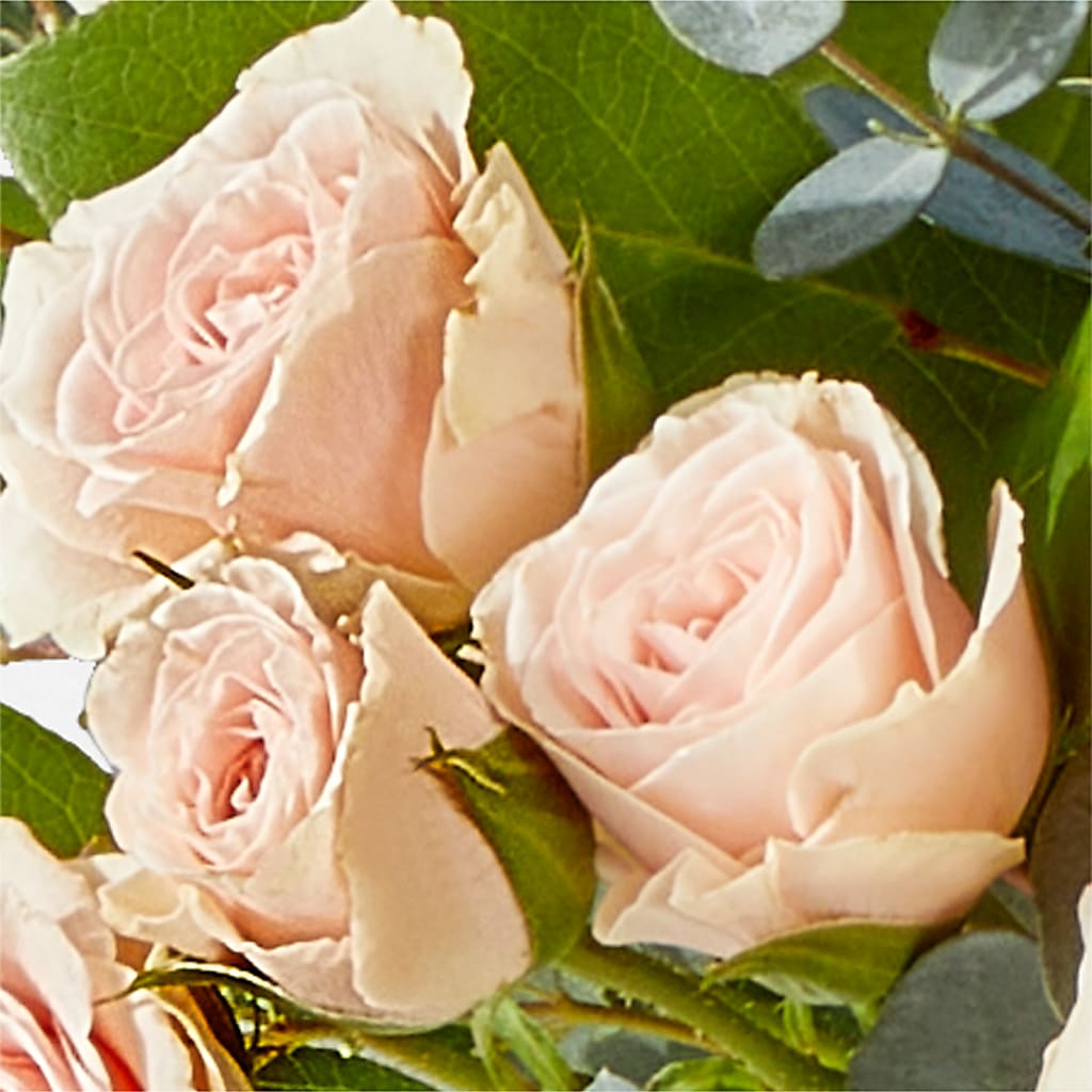 Inspired Bouquet – SADIE'S FLOWER SHOP, Rayne LA
