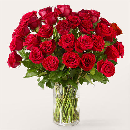The One Red Rose Bouquet – SADIE'S FLOWER SHOP, Rayne LA