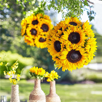 Sublime Garden Hanging Arrangement – SADIE'S FLOWER SHOP, Rayne LA