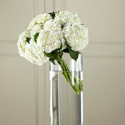 White Hydrangea Hand-Tied Bouquet – SADIE'S FLOWER SHOP, Rayne LA