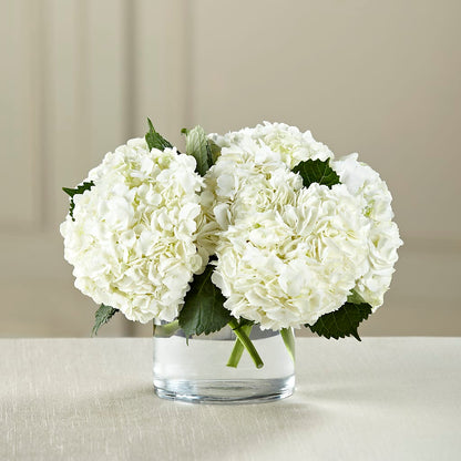 White Hydrangea Bouquet – SADIE'S FLOWER SHOP, Rayne LA