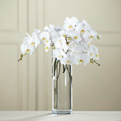 White Phalaenopsis Bouquet – SADIE'S FLOWER SHOP, Rayne LA